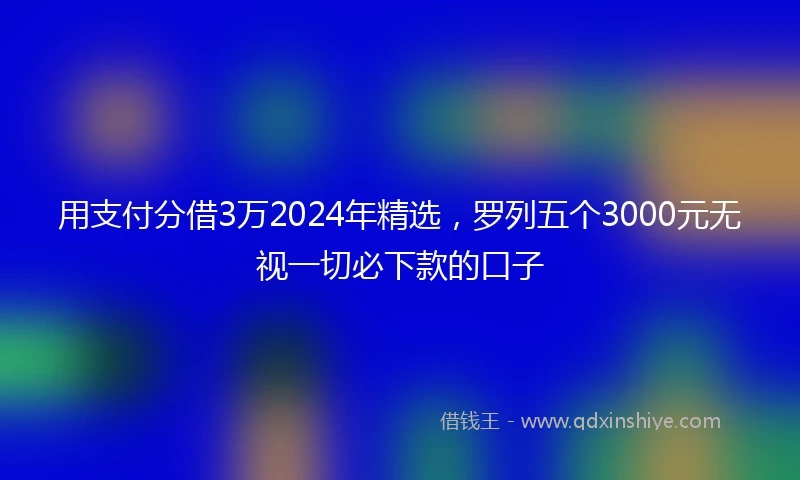 用支付分借3万2024年精选，罗列五个3000元无视一切必下款的口子