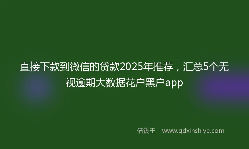 直接下款到微信的贷款2025年推荐，汇总5个无视逾期大数据花户黑户app