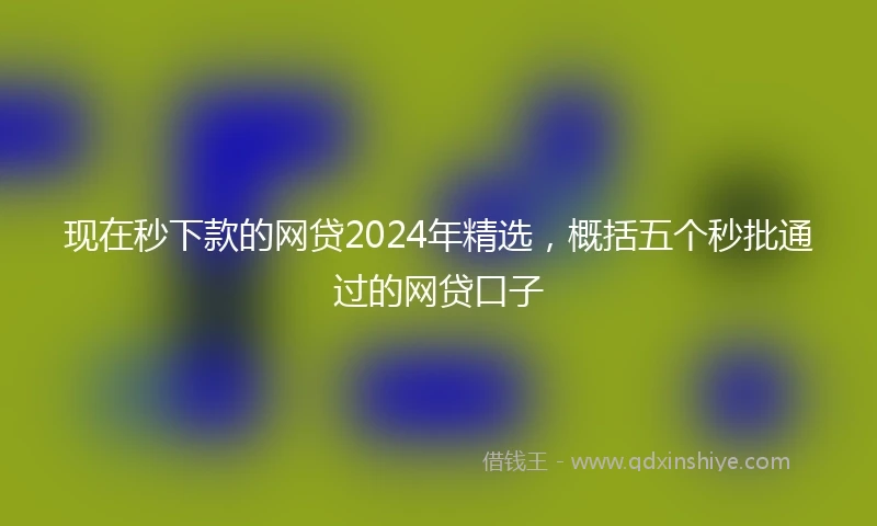 现在秒下款的网贷2024年精选，概括五个秒批通过的网贷口子