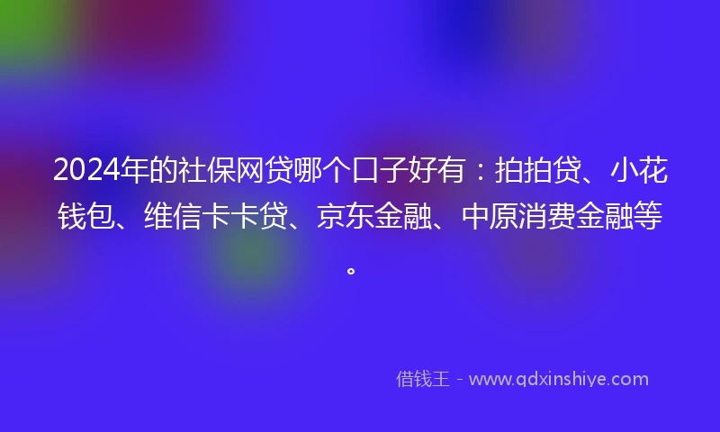 2024年的社保网贷哪个口子好有：拍拍贷、小花钱包、维信卡卡贷、京东金融、中原消费金融等。