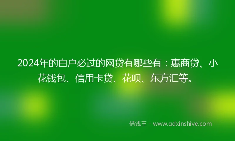 2024年的白户必过的网贷有哪些有：惠商贷、小花钱包、信用卡贷、花呗、东方汇等。