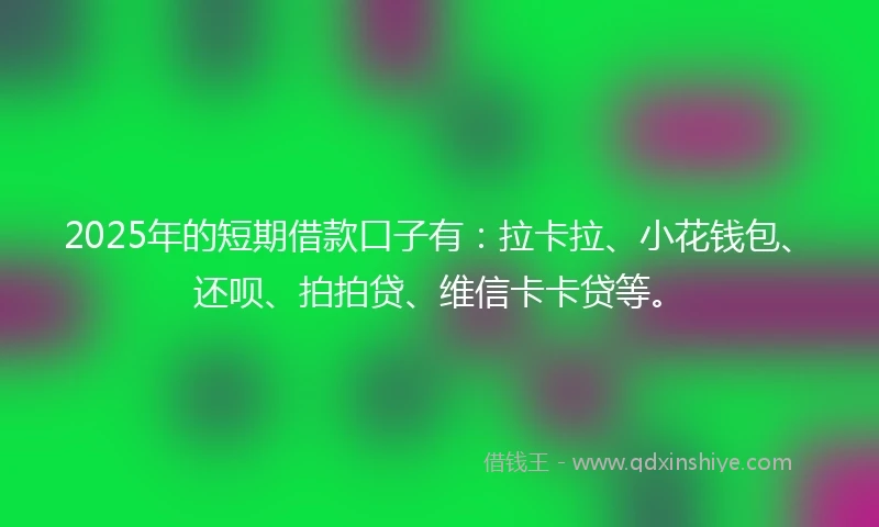 2025年的短期借款口子有：拉卡拉、小花钱包、还呗、拍拍贷、维信卡卡贷等。