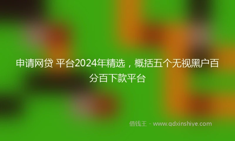 申请网贷 平台2024年精选，概括五个无视黑户百分百下款平台
