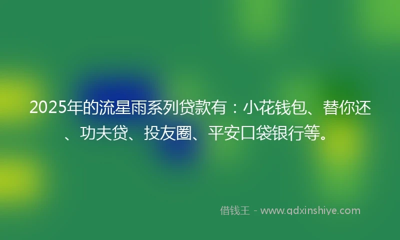 2025年的流星雨系列贷款有：小花钱包、替你还、功夫贷、投友圈、平安口袋银行等。