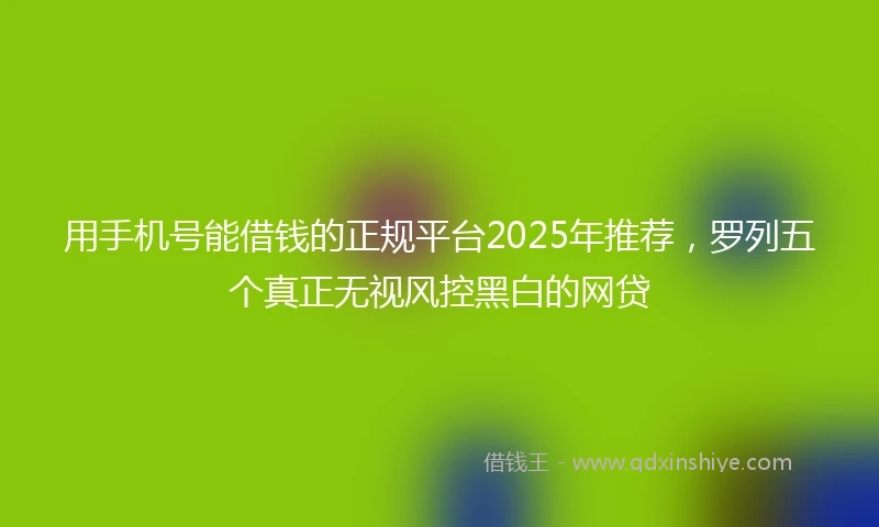 用手机号能借钱的正规平台2025年推荐，罗列五个真正无视风控黑白的网贷
