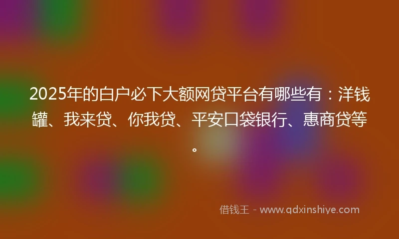 2025年的白户必下大额网贷平台有哪些有：洋钱罐、我来贷、你我贷、平安口袋银行、惠商贷等。
