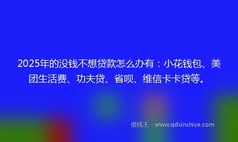 2025年的没钱不想贷款怎么办有：小花钱包、美团生活费、功夫贷、省呗、维信卡卡贷等。
