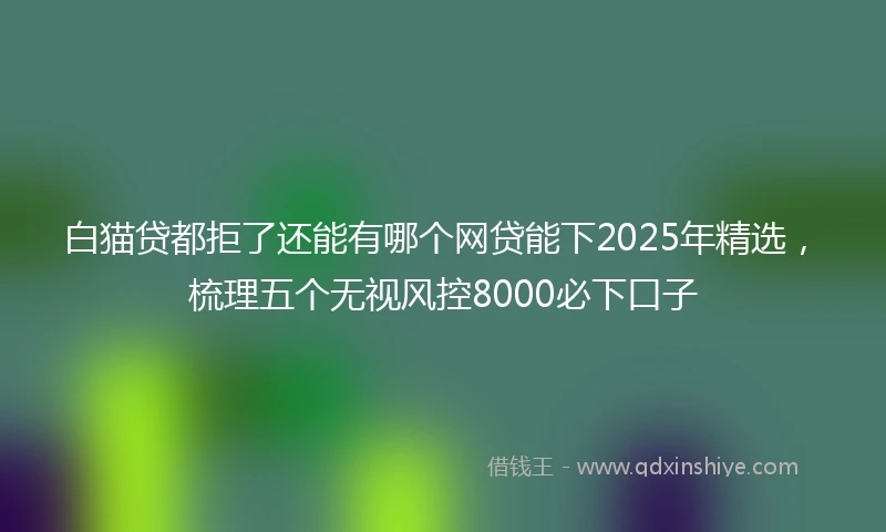 白猫贷都拒了还能有哪个网贷能下2025年精选，梳理五个无视风控8000必下口子