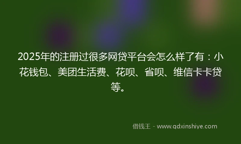 2025年的注册过很多网贷平台会怎么样了有：小花钱包、美团生活费、花呗、省呗、维信卡卡贷等。