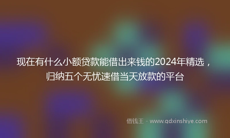 现在有什么小额贷款能借出来钱的2024年精选，归纳五个无忧速借当天放款的平台