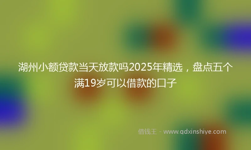 湖州小额贷款当天放款吗2025年精选，盘点五个满19岁可以借款的口子