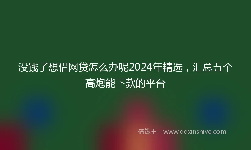 没钱了想借网贷怎么办呢2024年精选，汇总五个高炮能下款的平台