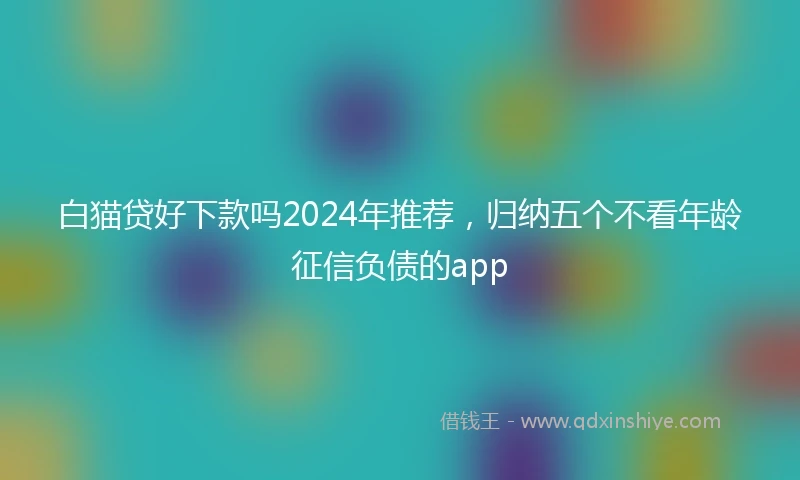 白猫贷好下款吗2024年推荐，归纳五个不看年龄征信负债的app