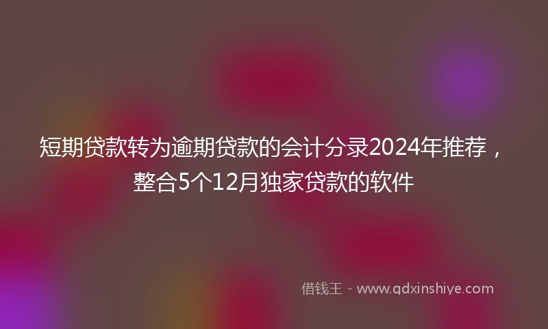 短期贷款转为逾期贷款的会计分录2024年推荐，整合5个12月独家贷款的软件