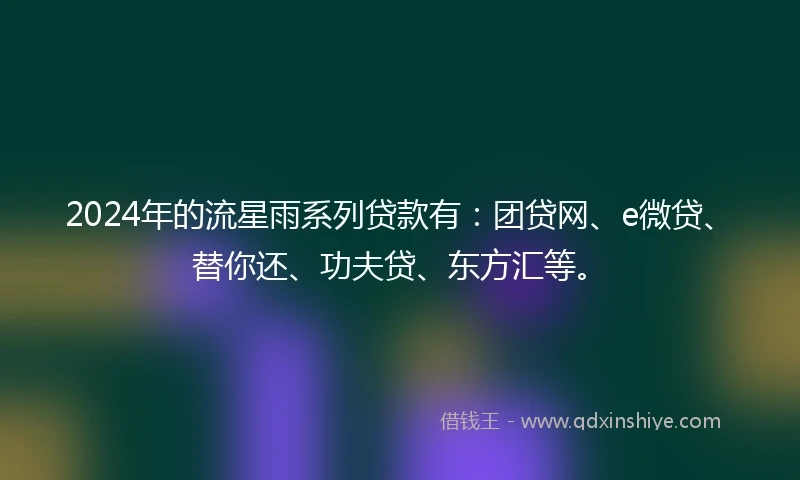 2024年的流星雨系列贷款有：团贷网、e微贷、替你还、功夫贷、东方汇等。