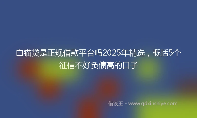 白猫贷是正规借款平台吗2025年精选，概括5个征信不好负债高的口子