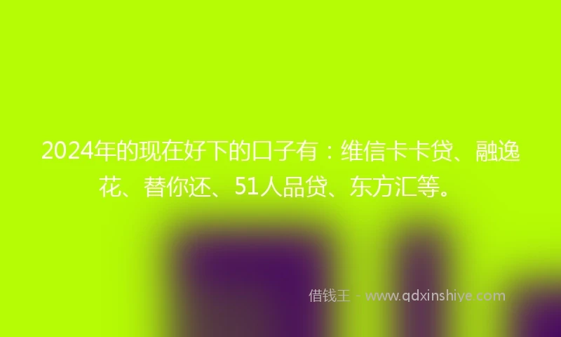 2024年的现在好下的口子有：维信卡卡贷、融逸花、替你还、51人品贷、东方汇等。