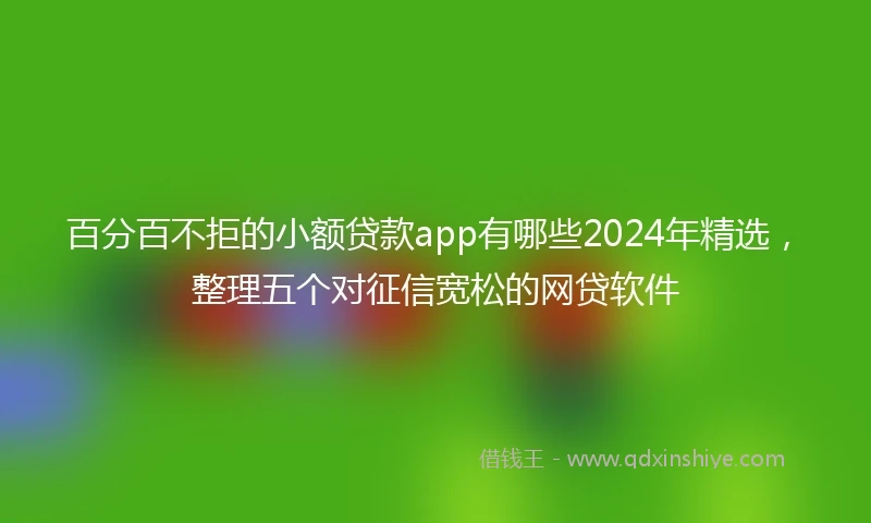 百分百不拒的小额贷款app有哪些2024年精选，整理五个对征信宽松的网贷软件