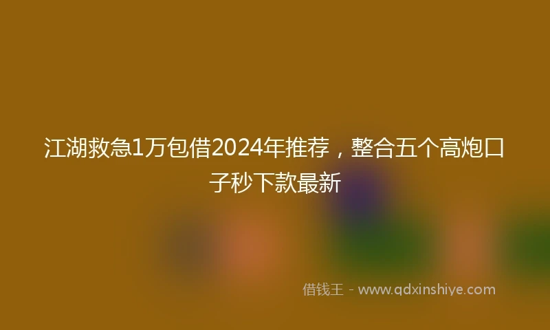 江湖救急1万包借2024年推荐，整合五个高炮口子秒下款最新