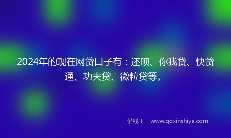 2024年的现在网贷口子有：还呗、你我贷、快贷通、功夫贷、微粒贷等。