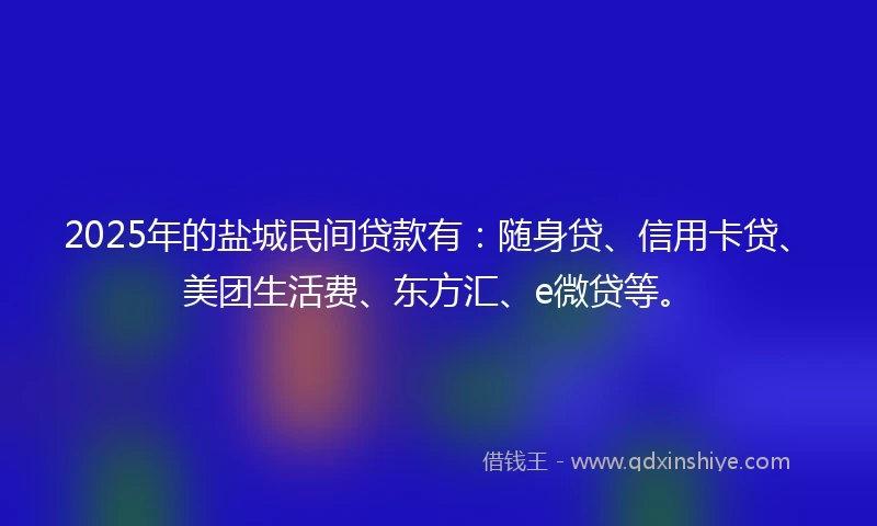 2025年的盐城民间贷款有：随身贷、信用卡贷、美团生活费、东方汇、e微贷等。
