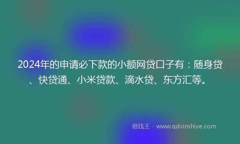 2024年的申请必下款的小额网贷口子有：随身贷、快贷通、小米贷款、滴水贷、东方汇等。