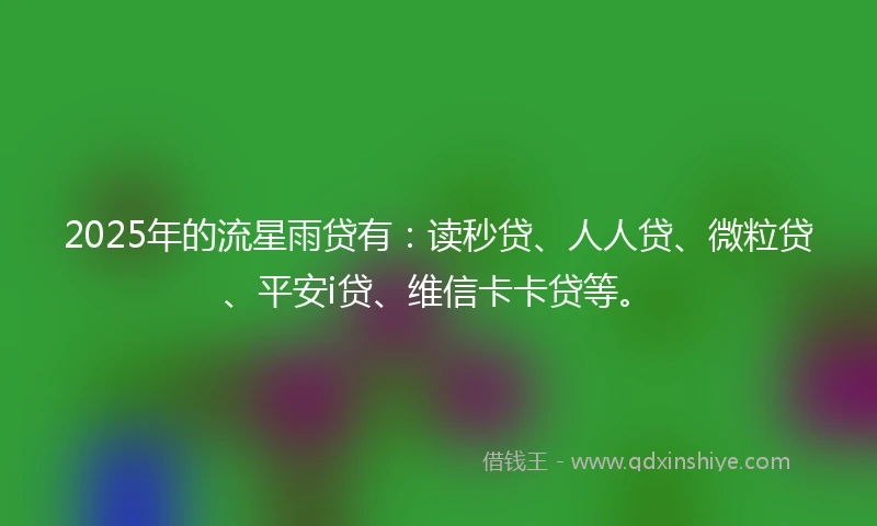 2025年的流星雨贷有：读秒贷、人人贷、微粒贷、平安i贷、维信卡卡贷等。