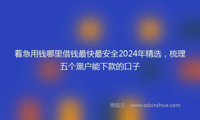 着急用钱哪里借钱最快最安全2024年精选，梳理五个黑户能下款的口子
