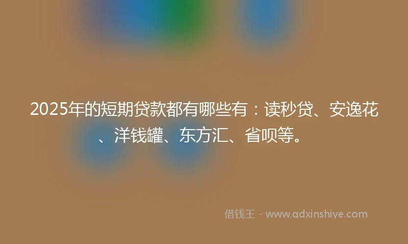 2025年的短期贷款都有哪些有：读秒贷、安逸花、洋钱罐、东方汇、省呗等。