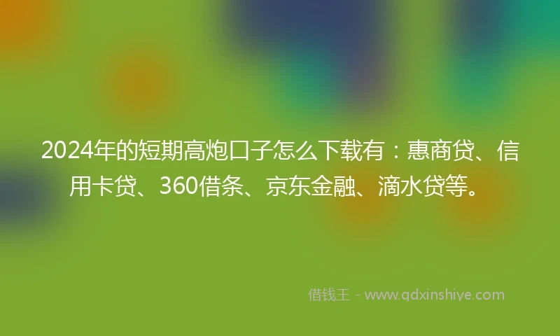 2024年的短期高炮口子怎么下载有：惠商贷、信用卡贷、360借条、京东金融、滴水贷等。