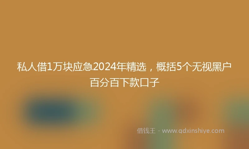 私人借1万块应急2024年精选，概括5个无视黑户百分百下款口子