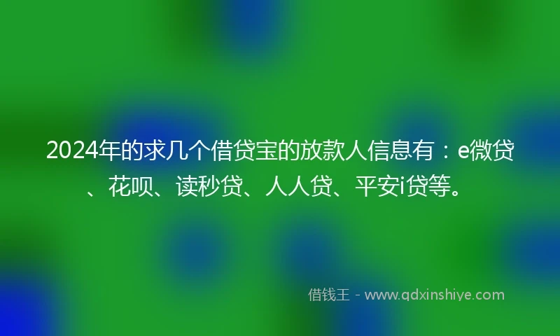 2024年的求几个借贷宝的放款人信息有：e微贷、花呗、读秒贷、人人贷、平安i贷等。
