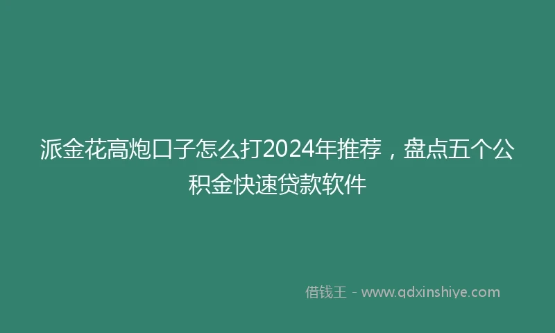 派金花高炮口子怎么打2024年推荐，盘点五个公积金快速贷款软件