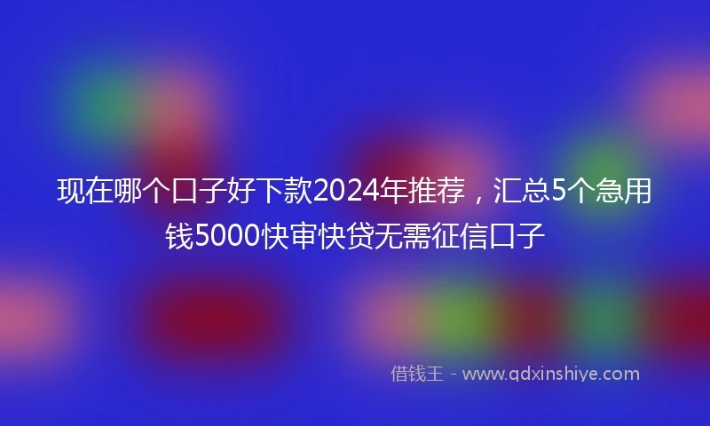 现在哪个口子好下款2024年推荐，汇总5个急用钱5000快审快贷无需征信口子