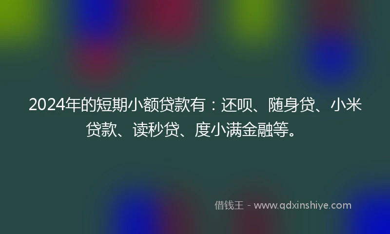 2024年的短期小额贷款有：还呗、随身贷、小米贷款、读秒贷、度小满金融等。