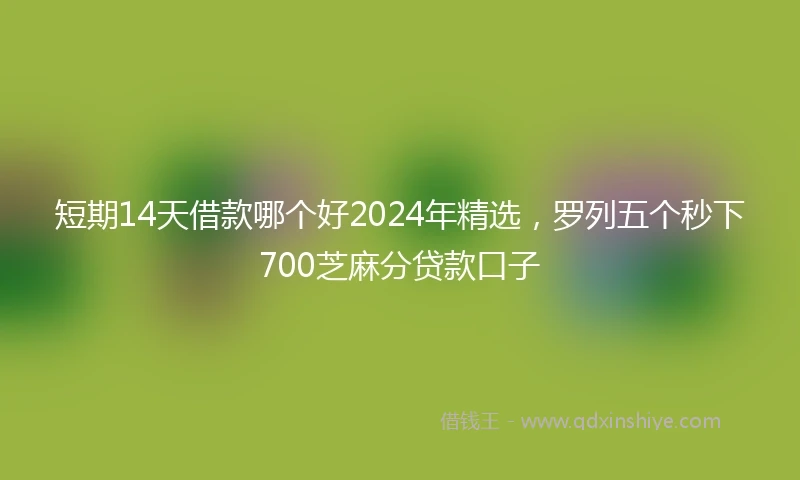短期14天借款哪个好2024年精选，罗列五个秒下700芝麻分贷款口子