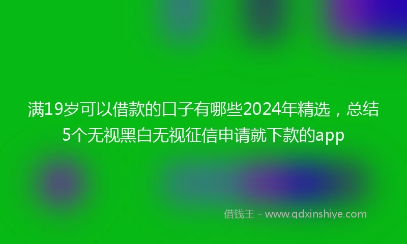 满19岁可以借款的口子有哪些2024年精选，总结5个无视黑白无视征信申请就下款的app