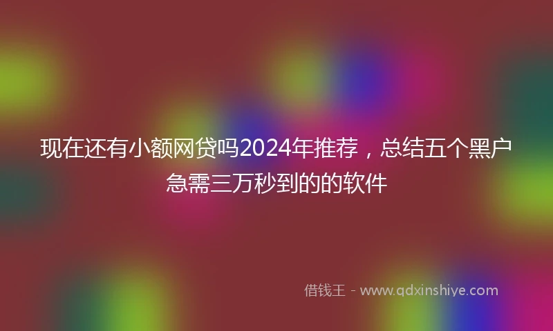 现在还有小额网贷吗2024年推荐，总结五个黑户急需三万秒到的的软件