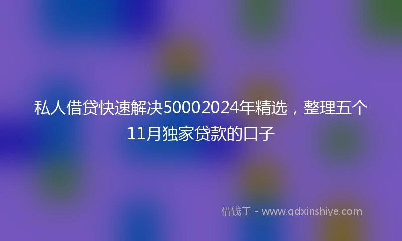 私人借贷快速解决50002024年精选，整理五个11月独家贷款的口子