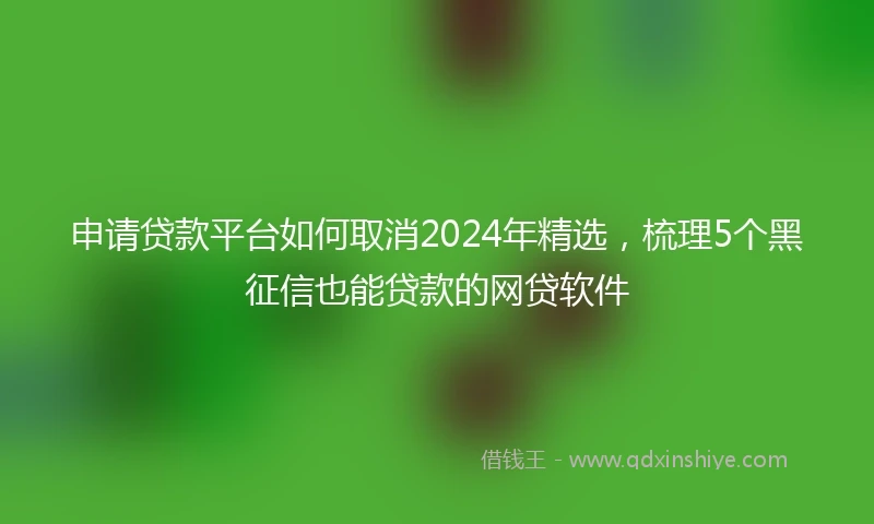 申请贷款平台如何取消2024年精选，梳理5个黑征信也能贷款的网贷软件