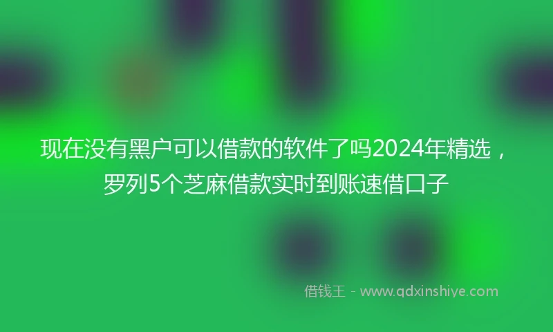 现在没有黑户可以借款的软件了吗2024年精选，罗列5个芝麻借款实时到账速借口子