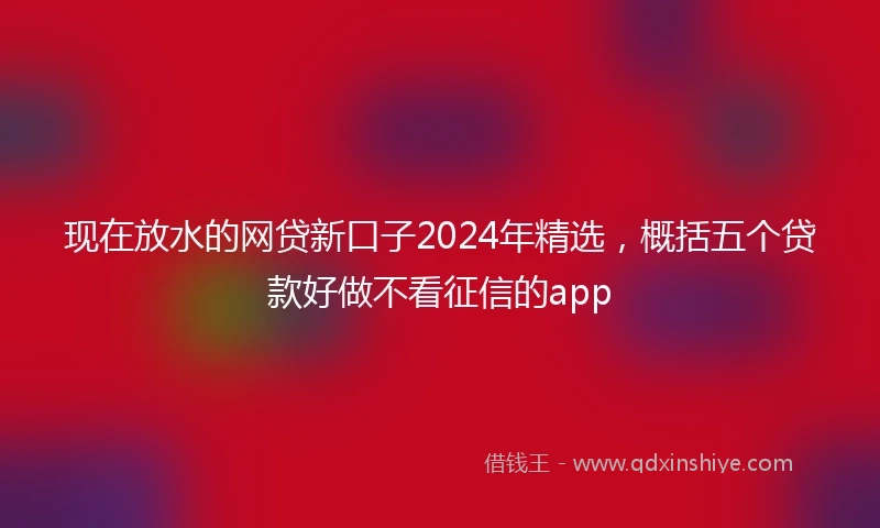 现在放水的网贷新口子2024年精选，概括五个贷款好做不看征信的app