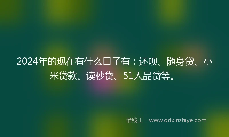 2024年的现在有什么口子有：还呗、随身贷、小米贷款、读秒贷、51人品贷等。