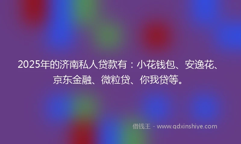 2025年的济南私人贷款有：小花钱包、安逸花、京东金融、微粒贷、你我贷等。