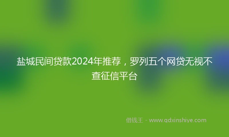 盐城民间贷款2024年推荐，罗列五个网贷无视不查征信平台