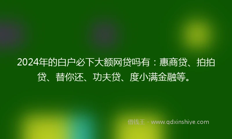 2024年的白户必下大额网贷吗有：惠商贷、拍拍贷、替你还、功夫贷、度小满金融等。