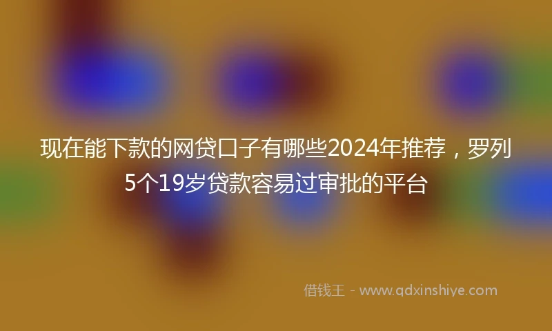 现在能下款的网贷口子有哪些2024年推荐，罗列5个19岁贷款容易过审批的平台