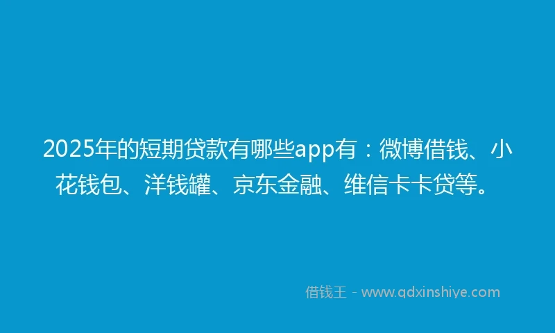 2025年的短期贷款有哪些app有：微博借钱、小花钱包、洋钱罐、京东金融、维信卡卡贷等。