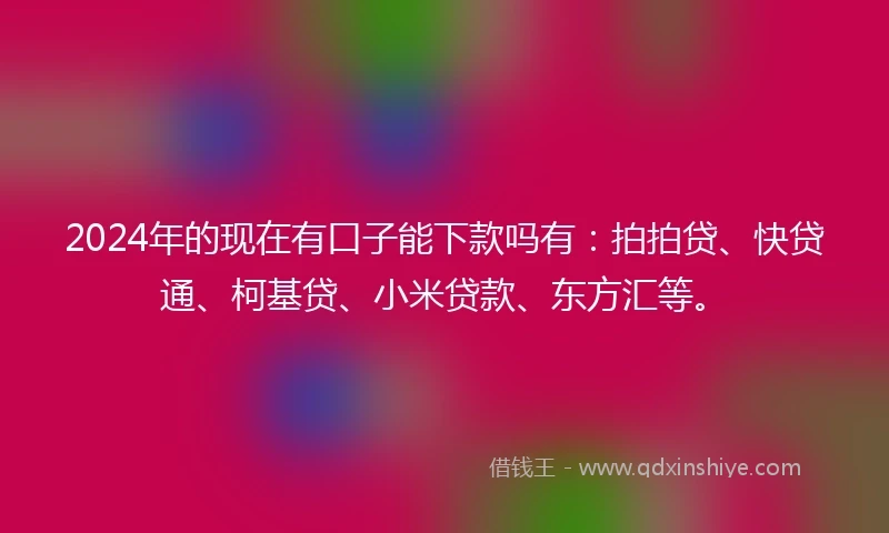 2024年的现在有口子能下款吗有：拍拍贷、快贷通、柯基贷、小米贷款、东方汇等。