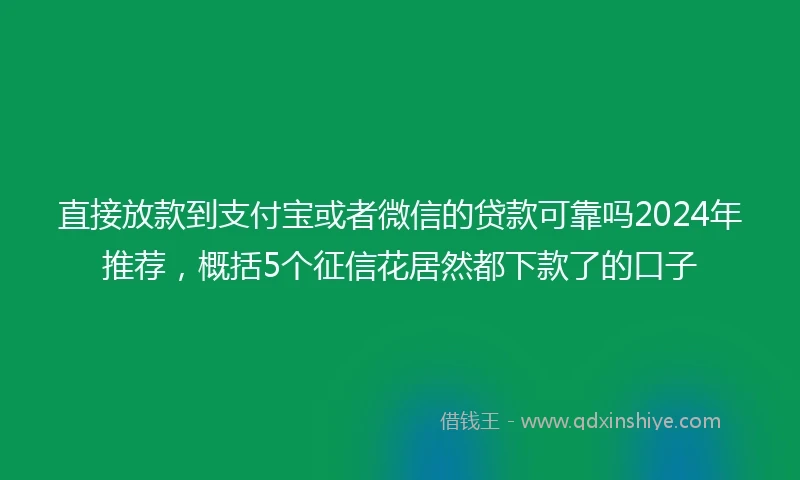 直接放款到支付宝或者微信的贷款可靠吗2024年推荐，概括5个征信花居然都下款了的口子